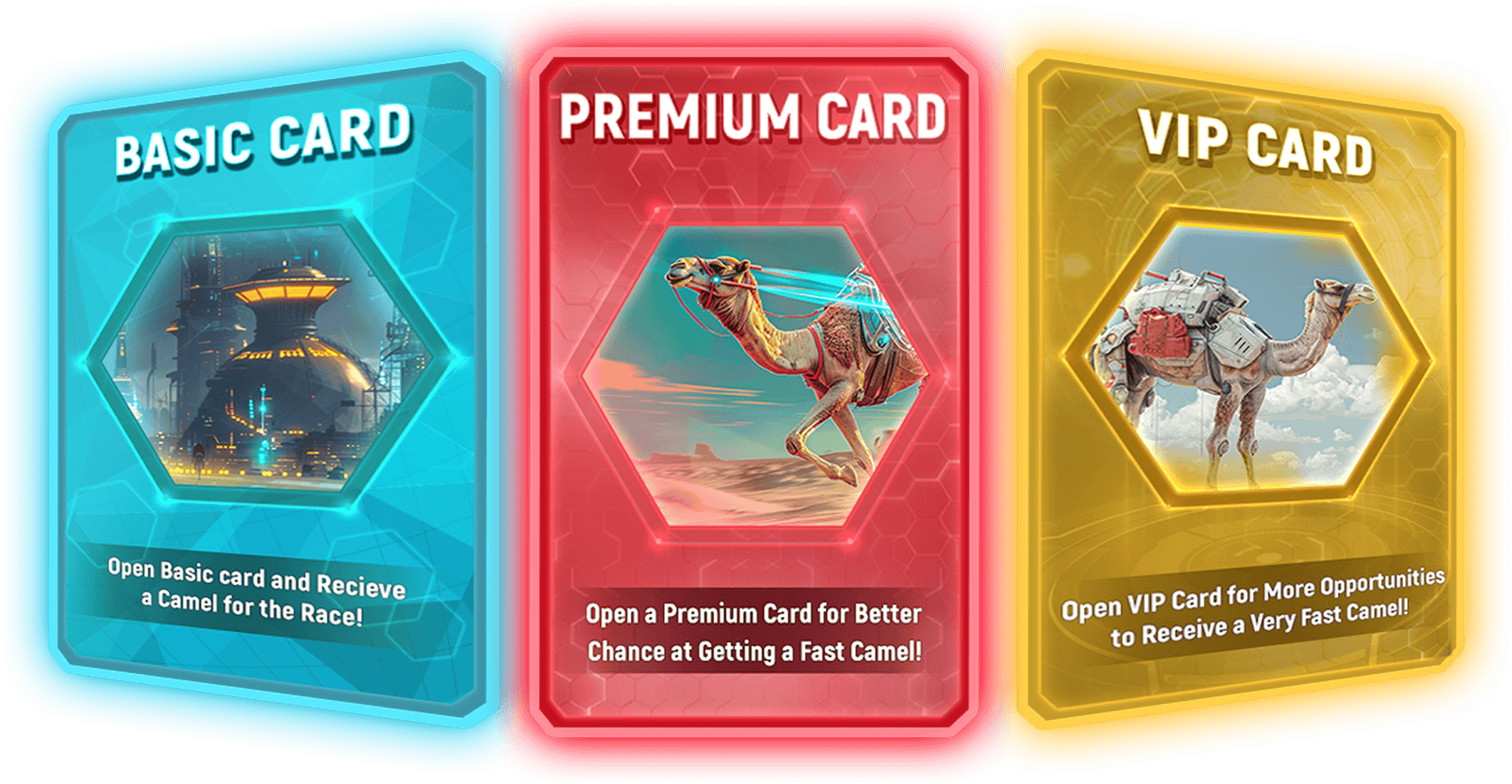 CamelRally Cards